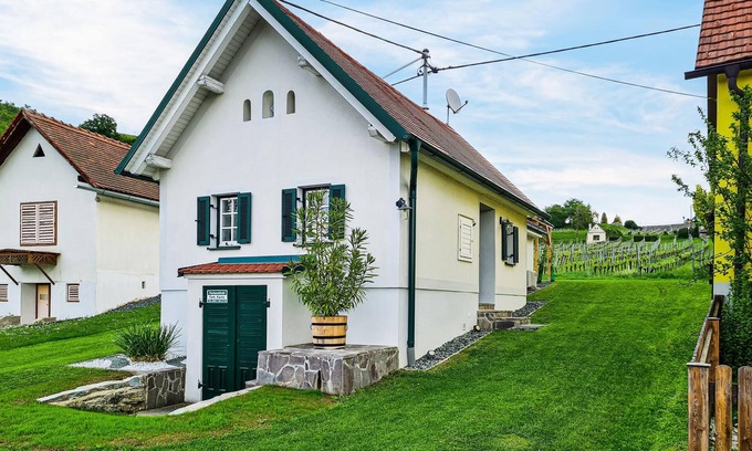 Eisenberg an der Pinka House | This small Kellerstöckl in the middle of the idyllic vineyards of southern Burgenland will delight y