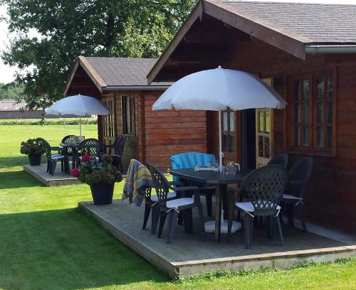 Zwiggelte Other | tHoefijzer Luxere Blokhutten 5 pers en Mini Camping
