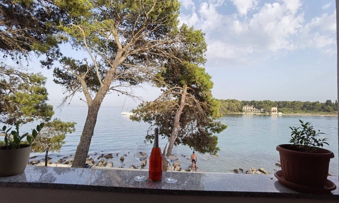 Batalaza Apartment | Three bedroom apartment near beach Ugljan (A-19580-a)