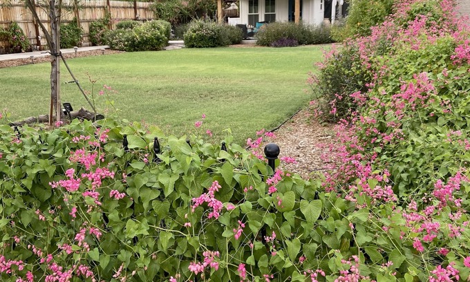 Gilbert House | Three minute walk to Downtown Gilbert from the Not So Tiny Cottage!