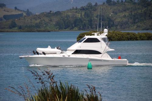 Whitianga Apartment | Tides Reach Whitianga