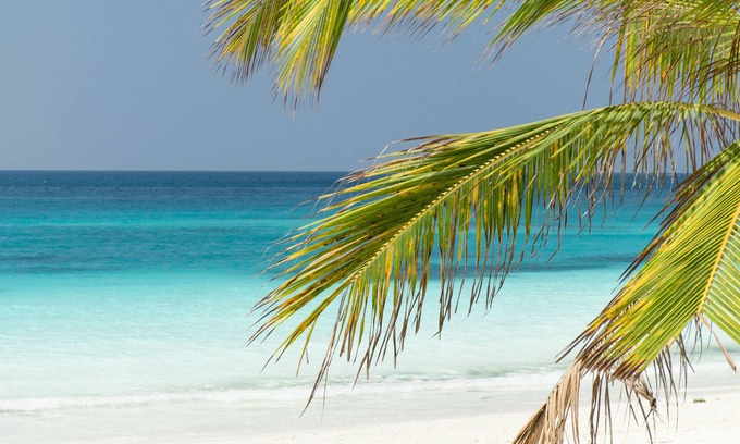 Pongwe Hotel | Tikitam Palms Boutique Hotel