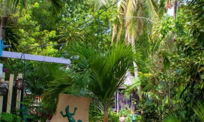 Anna's Retreat Hostel | Tillett Gardens Guest House & Hostel