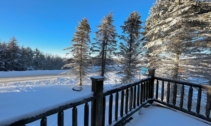 Snowshoe House | Timbers 1 - Snowshoe, Directly across from Soaring Eagle!