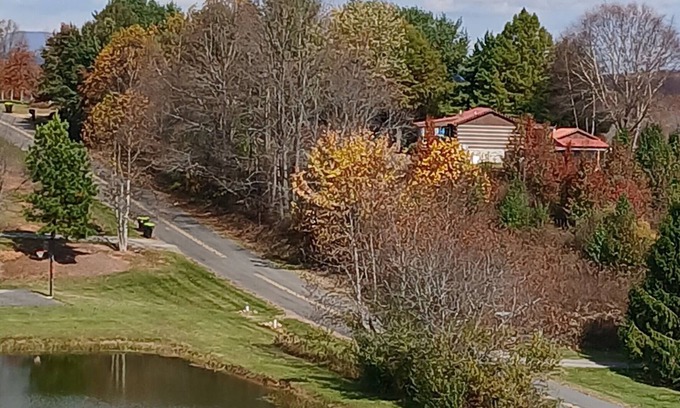 Fancy Gap Cabin | Tiny cabin with access to pond,hot freshwaterAC right off the Blue ridgeparkway