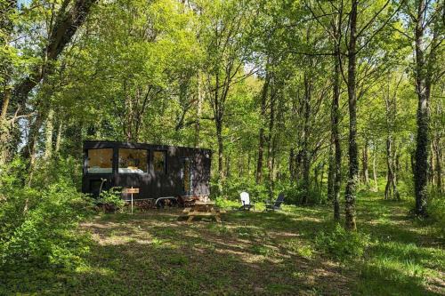 Sonchamp House | Tiny House La Clairière au milieu des bois !
