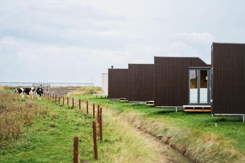 Harlesiel House | Tiny House Nature 3 Zur Kuhweide - Green Tiny Village Harlesiel