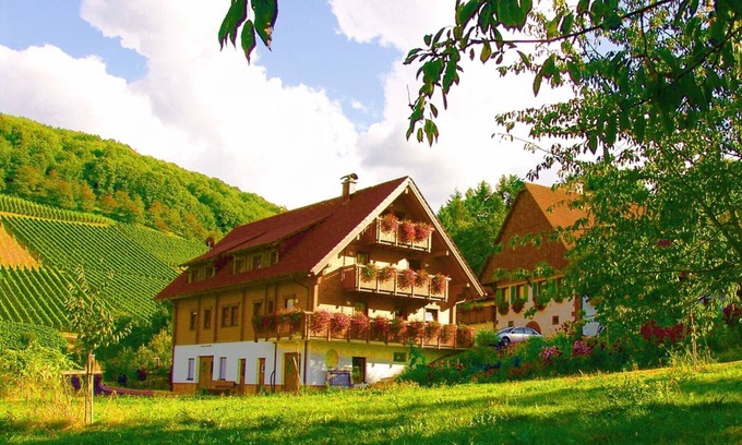Oberkirch Apartment | Tiny-House Toftaholm, 23sqm, 1 bedroom, max. 2 persons