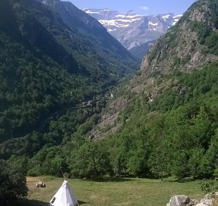 Gedre Other | Tipis nature