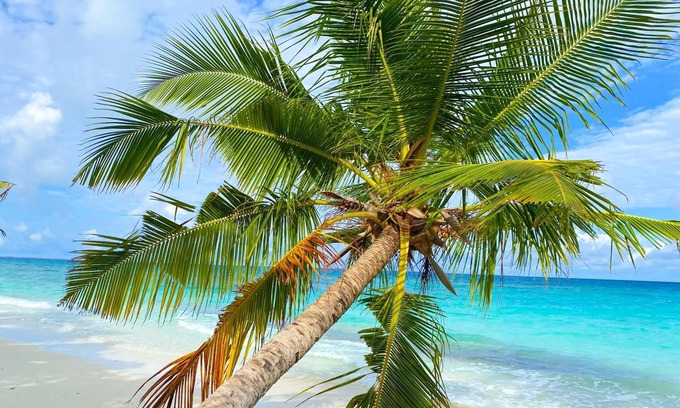 Dhigurah House | TME Retreats Dhigurah