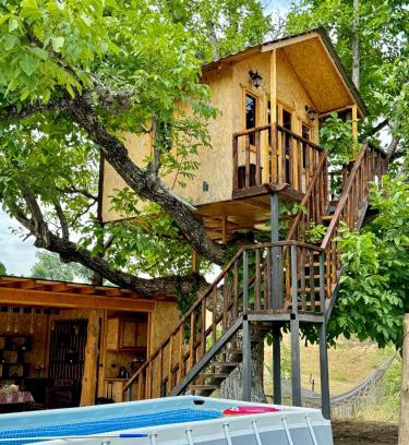 Kapan Other | Tnak Dream House