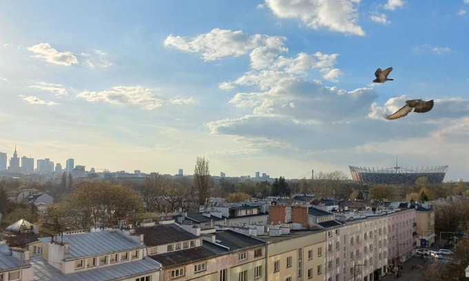 Saska Kepa Apartment | To był maj
