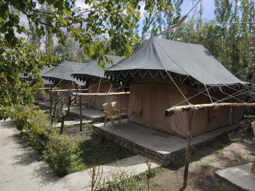 Nubra Valley Other | Tongspon Camp Nubra