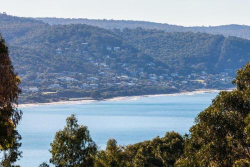 Lorne Apartment | Top Deck
