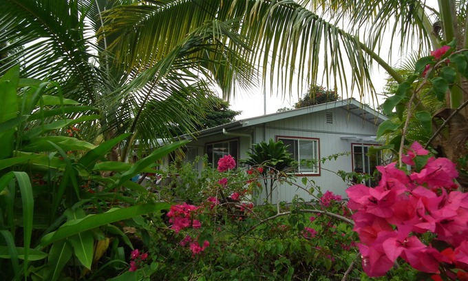 Leilani Estates House | Top Five Rated Vacation Rental In Pahoa , Discounted Rates in November!