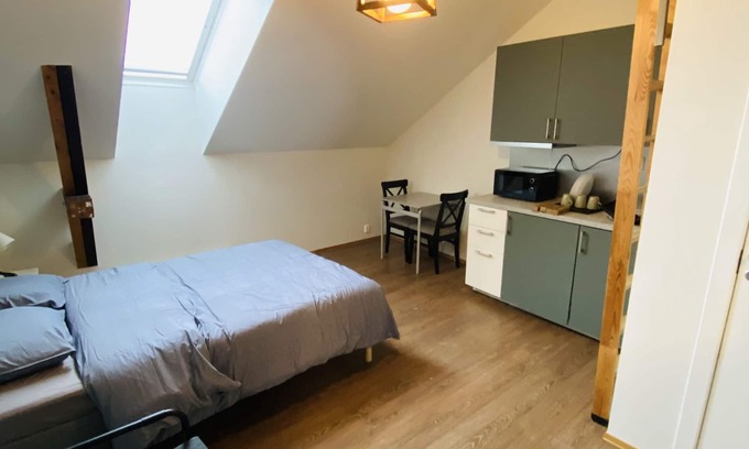 Oslo City Centre Apartment | Torggata Apartments Oslo- Romslig Hel-studio Leilighet Midt i Oslo Sentrum