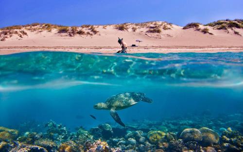 Vasilikos House | Tortuga Dafni Bay Villas Diver's Paradise by "elite"