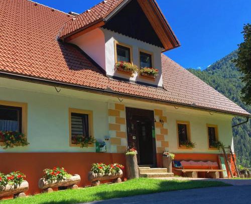 Solcava Apartment | Tourist farm Gradišnik