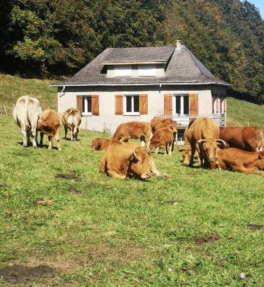 Campan Ski Chalet | Tourmalet