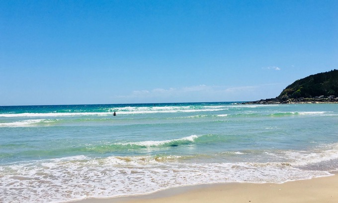 Scotts Head House | TownHouse plus Studio Optional Add-on-Family+Friends+Pets+Value 5min to Beach.