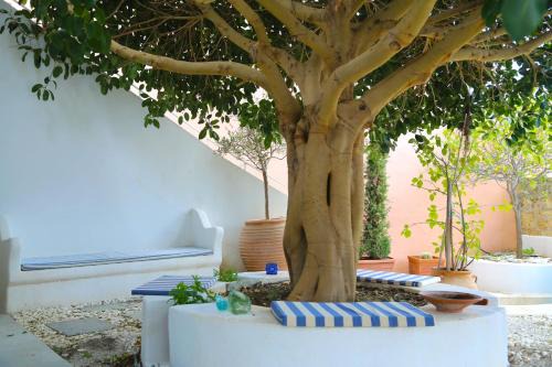 Mitata House | Traditional house in Mitata next to the canyon!