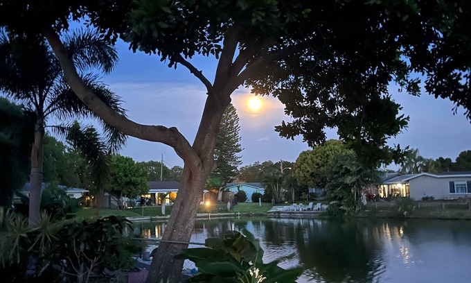 Seminole House | Tranquil lakefront home: gulf beaches, shopping, and entertainment near by