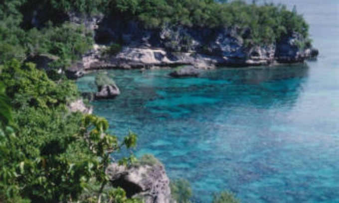 Moso Island Hotel | Tranquility Island Resort