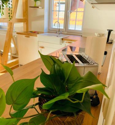 Freudenstadt Apartment | Traumwohnung - direkt am Marktplatz