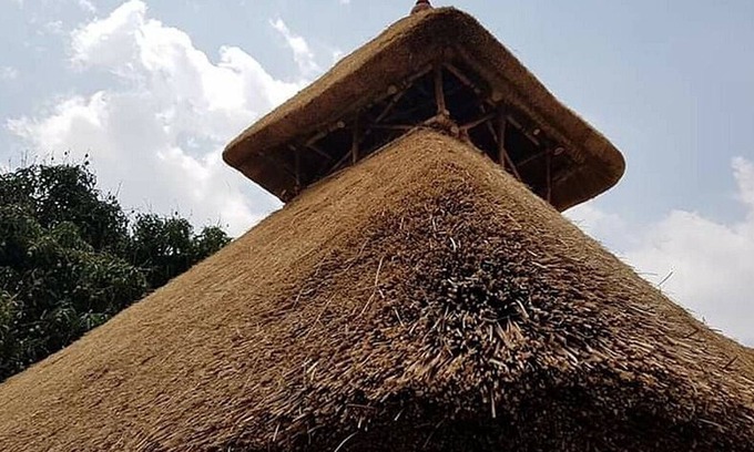 Narayanapura Other | Tree and Mud House