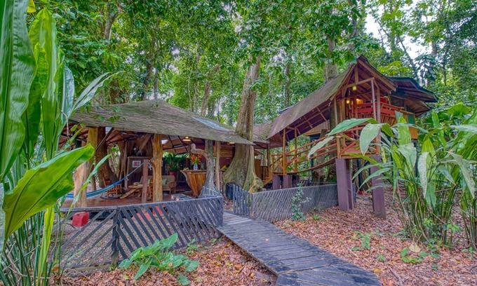 Chiguata House | Tree House, located on Beach front Property