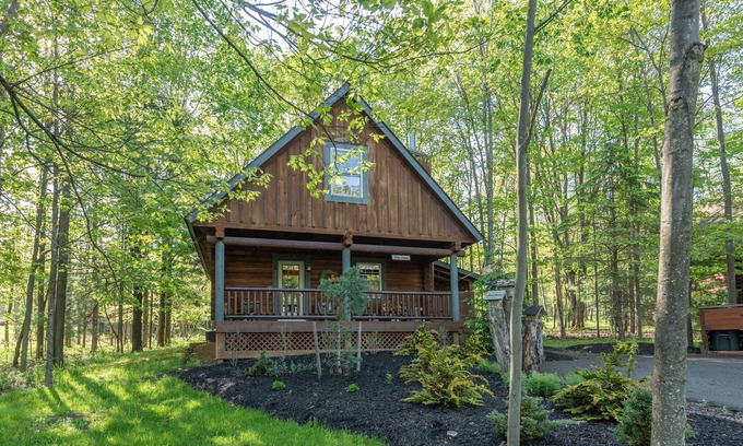 Thayerville Cabin | Tree Haus: Lake Area, Hot Tub, Fireplace, Shuffleboard!