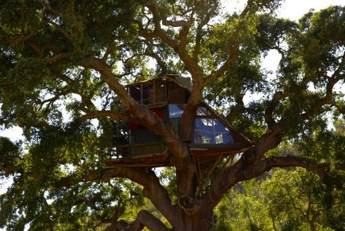 Sao Luis Other | Tree house da Lage