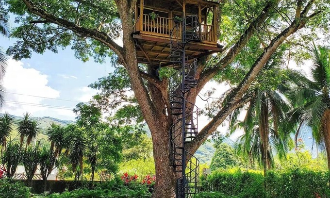 Utica House | Tree house Lunna, near Bogota in Utica Cundinamarca