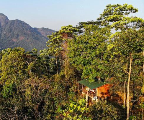 Ginigathena Hotel | Tree Houses by Jungle River