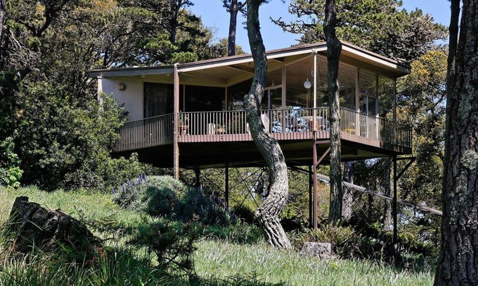 Inverness Apartment | Tree Top Glass House - Hi House