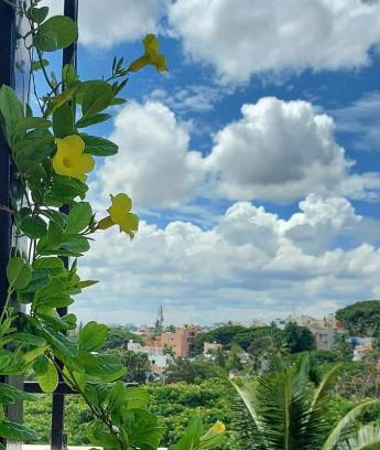 Bengaluru Apartment | Tree Top
