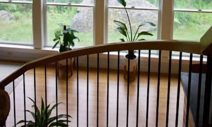 Tremont House | TreeHome is unique, secluded, modern