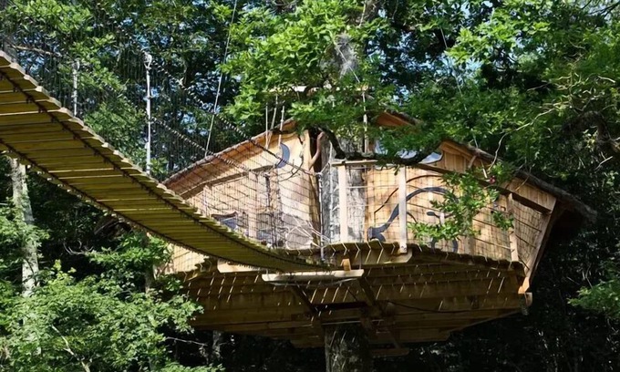 Dienne Cabin | Treehouse 2 People
