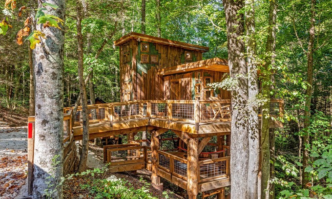 Rogers Apartment | Treehouse - Amazonia - Red River Gorge, KY