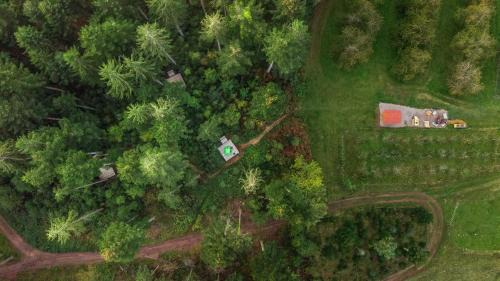 Guckinsdorf Other | Trekking Camp am Renchtalsteig