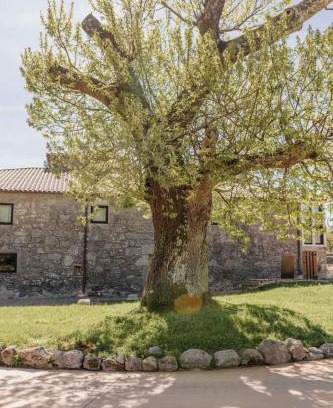 O Savinao Hotel | Tres Portas