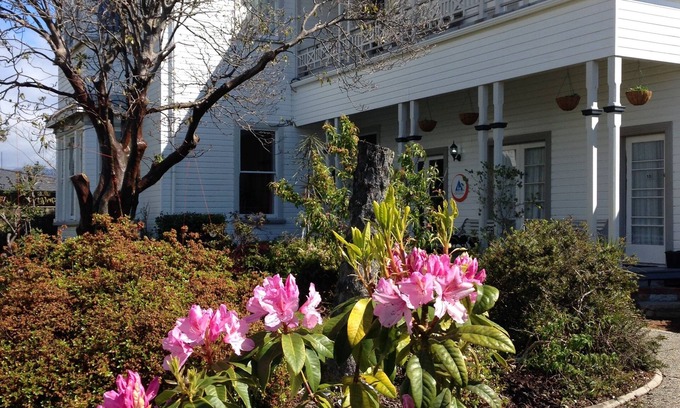 Westport Hostel | TripInn Hostel