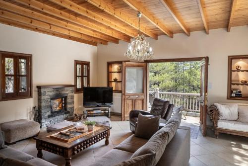 Pedhoulas Villa | Troodos Mature Pine Chalet