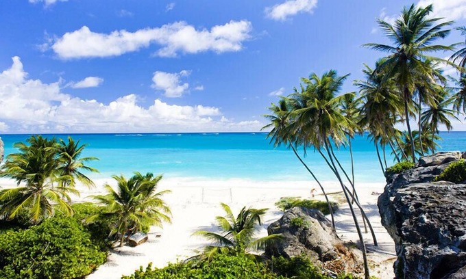 Douglas Apartment | Tropical Apartment with private patio. Walk to Beaches, Shops & Cafes