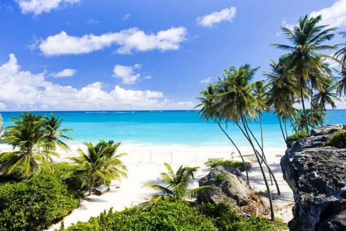 Douglas House | Tropical Apartment with private patio, Walk to Beaches, Shops and Cafes