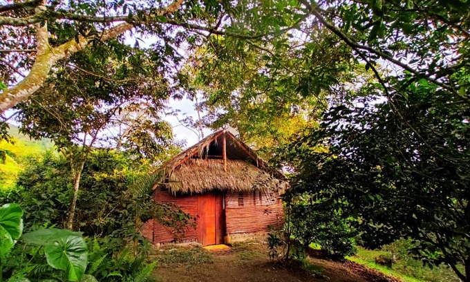 Nocaima Hotel | Tropical Biohostel by Rotamundos