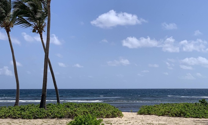 La Grande Princesse Condo | Tropical Daydreams at Pelican Cove - Ocean/beach access, beautiful unit