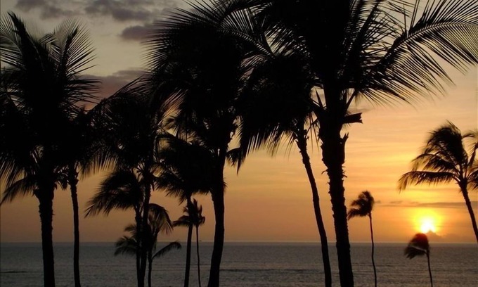 Kihei Condo | Tropical Getaway -Deluxe Oceanfront Condo Amazing Ocean View Free Wifi /Parking