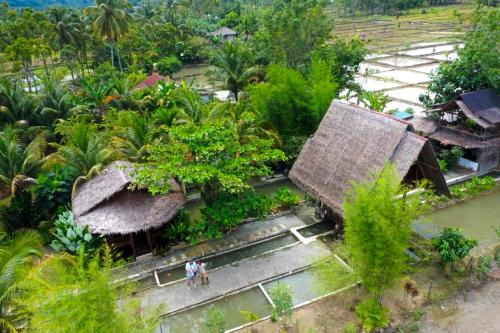 Bohorok House | Tropical Jungle lodge & Jungle trekking