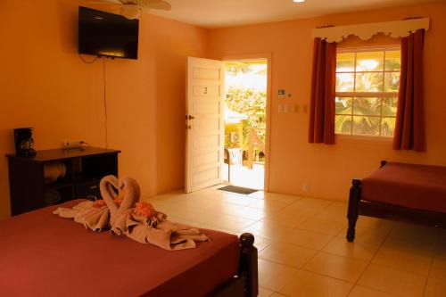 Caye Caulker Hotel | Tropical Paradise